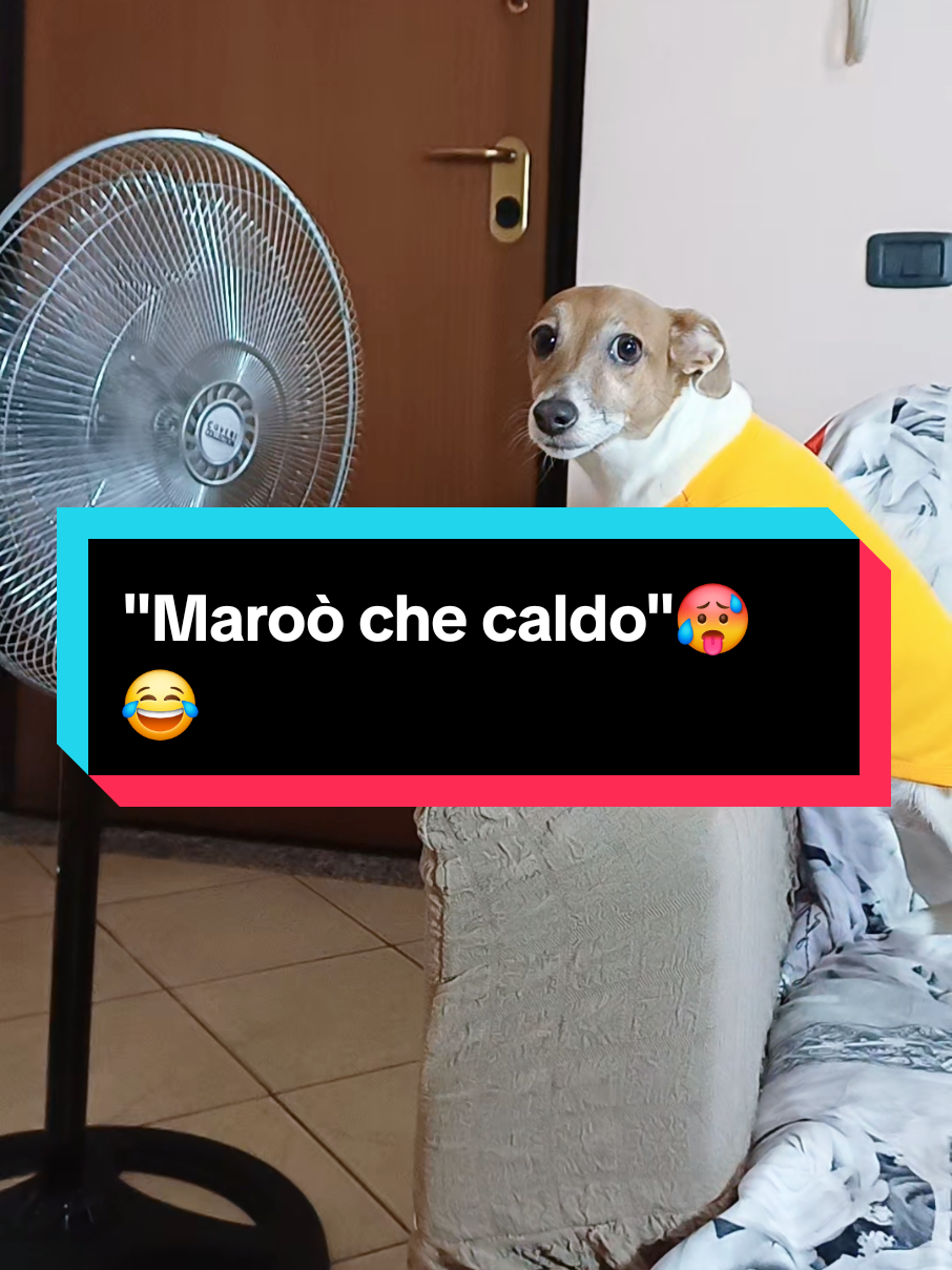 @MeryBS_Official
