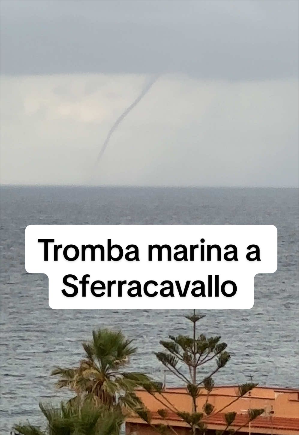 @Sicilia Palermo Sferracavallo
