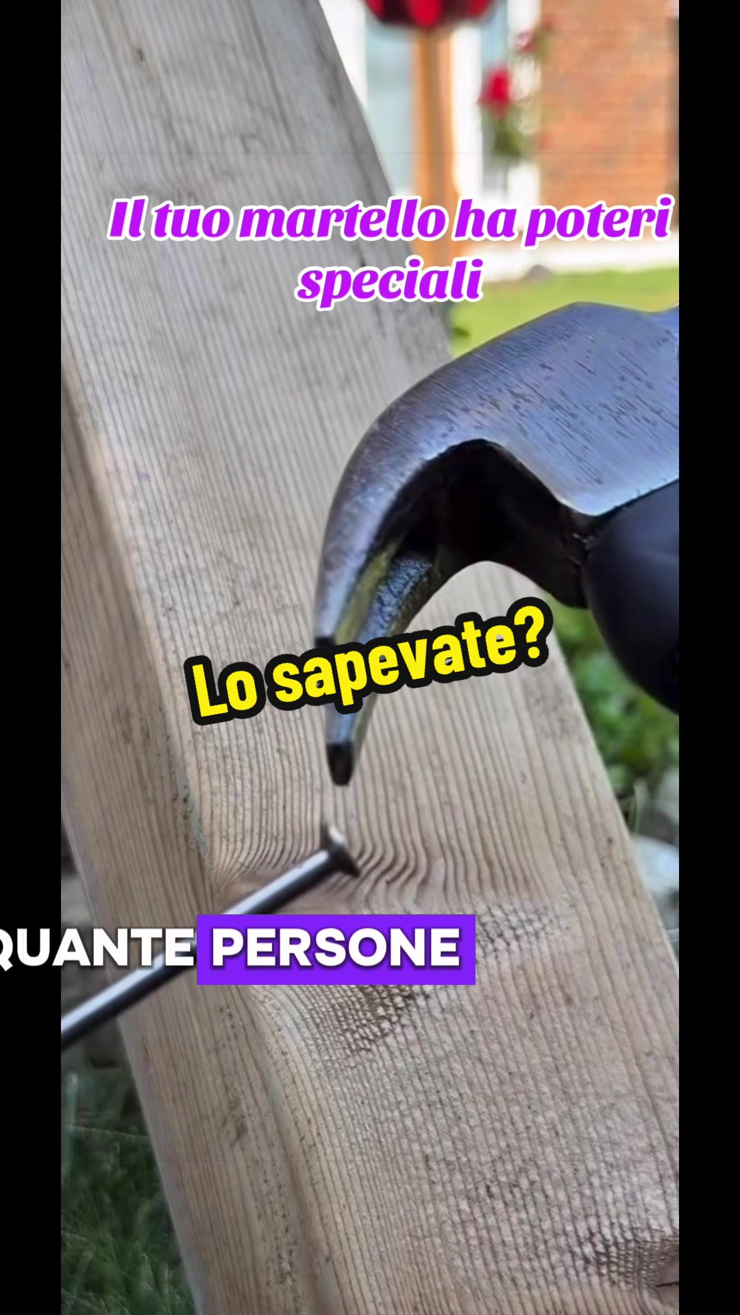 @Alessandro Cuomo ♌️