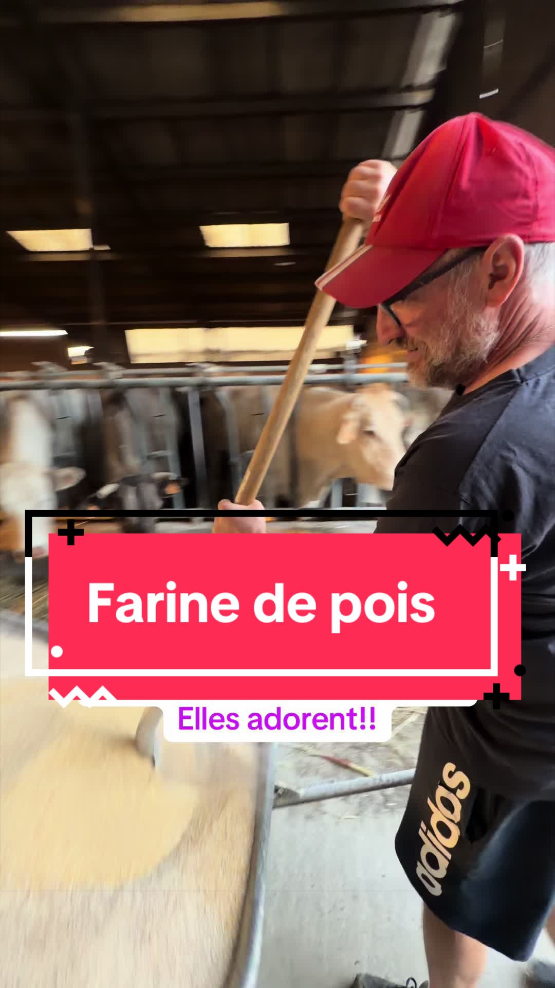 @Conor l’agricultor