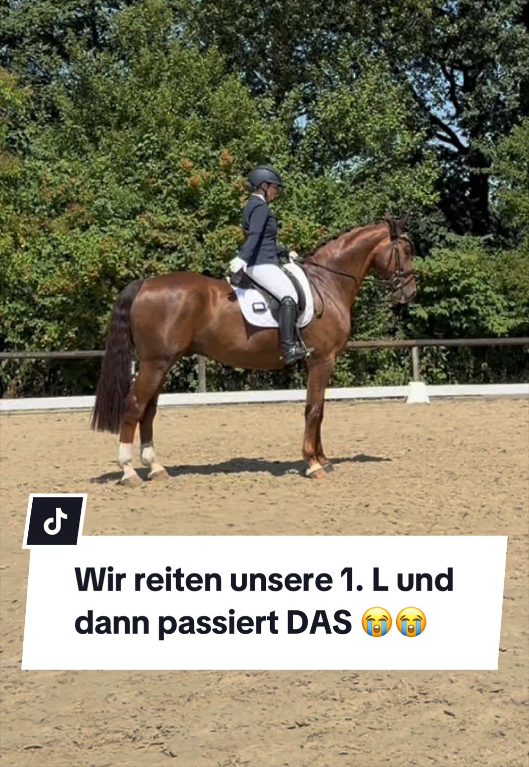 @franziskaelea