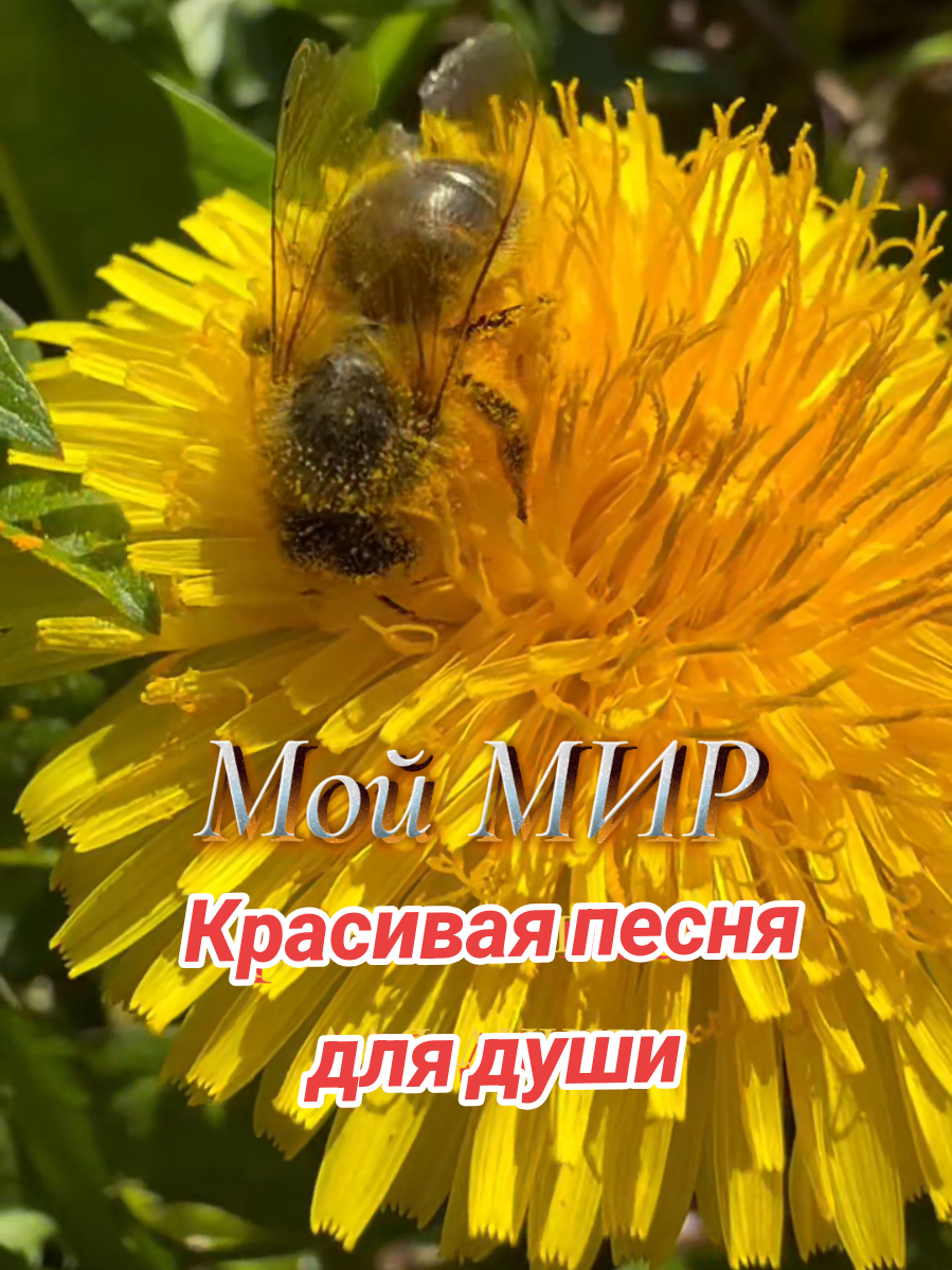 @✨Елена✨