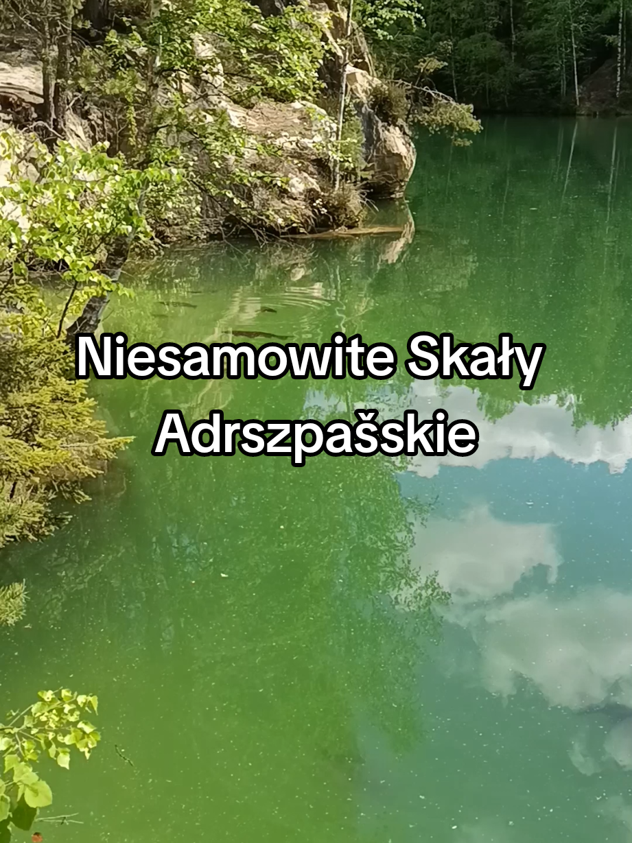 @🕊DJI🕊