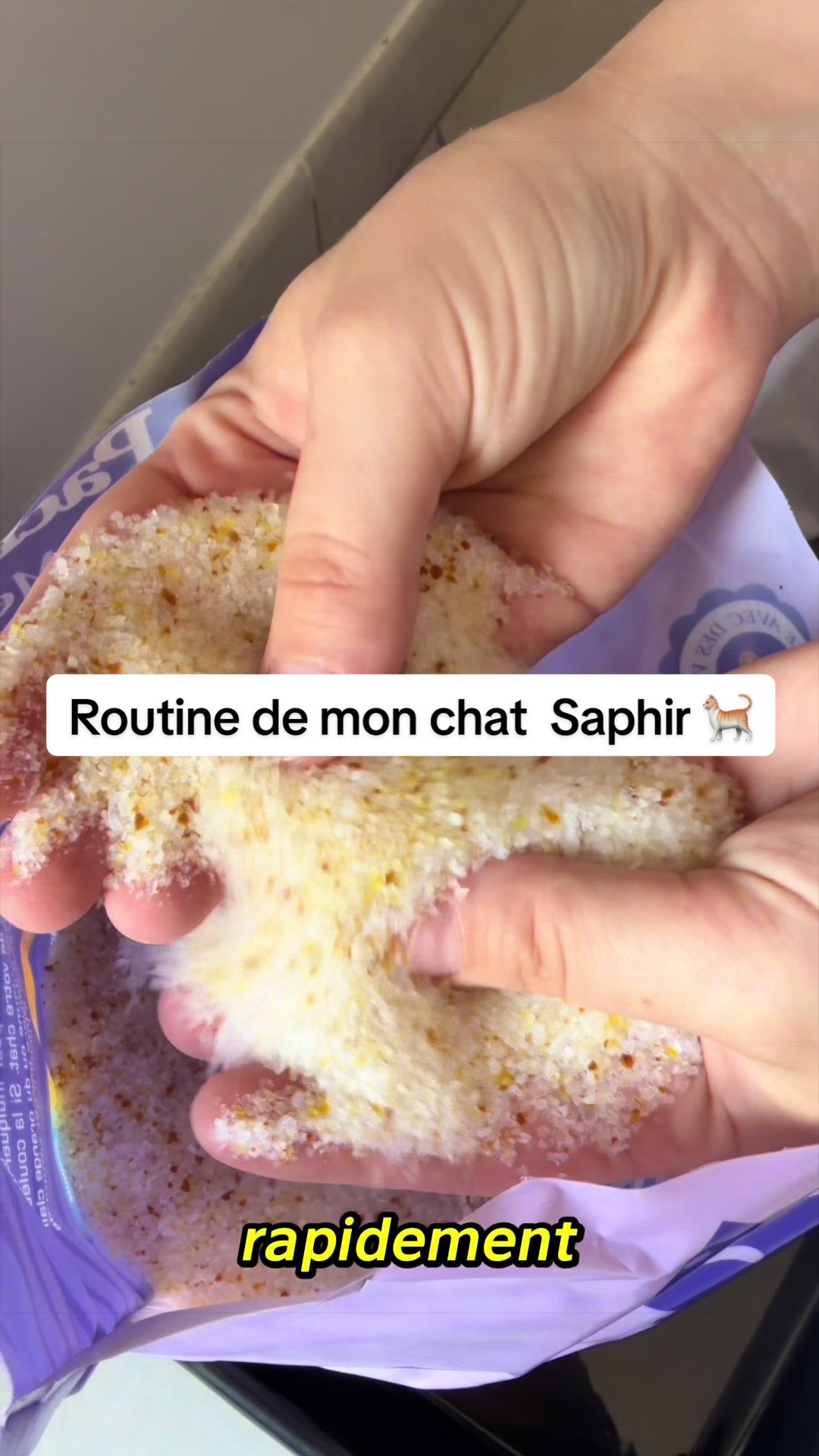@_laviedemimi
