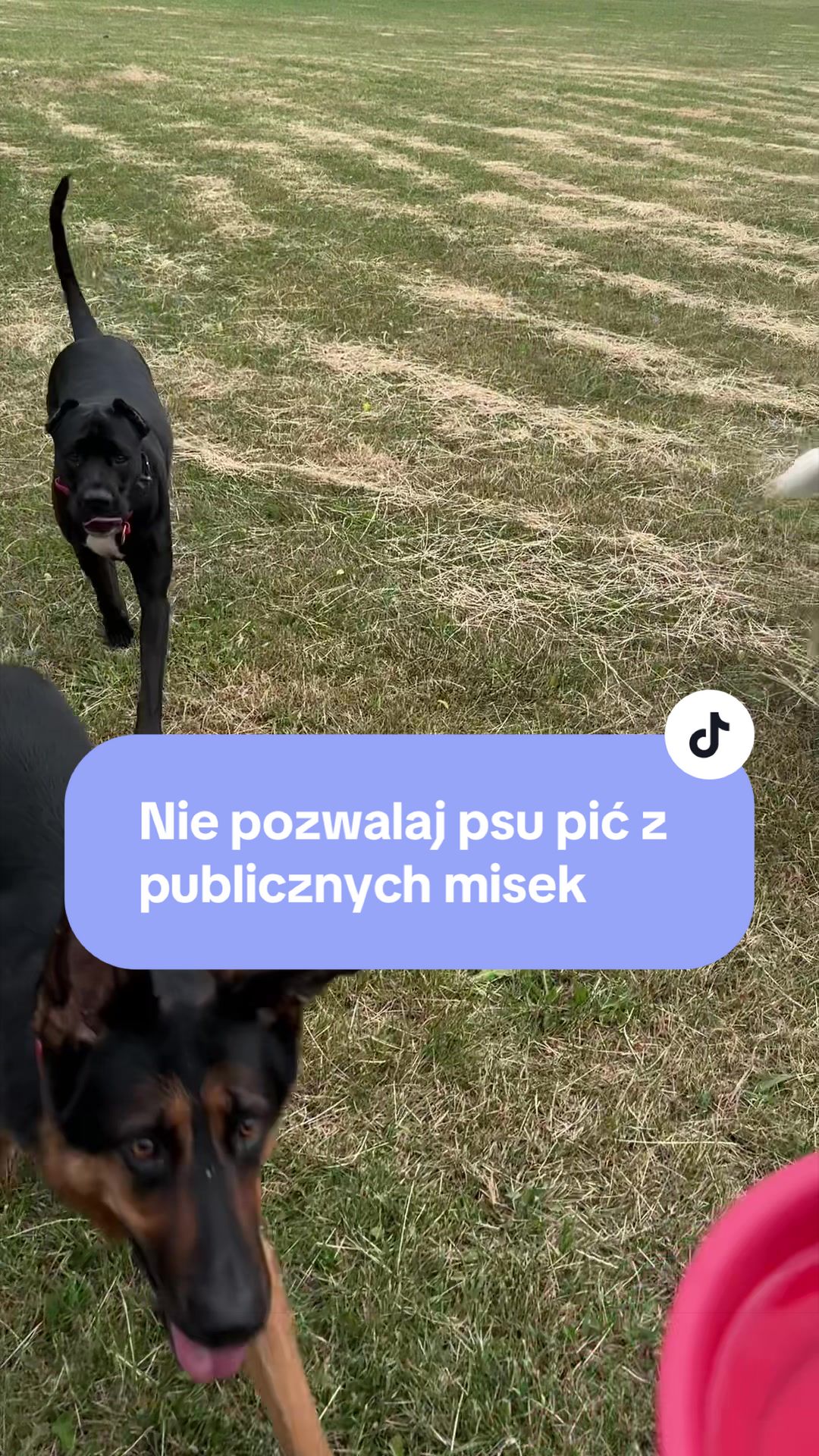 @Mia, Abi & Barsa