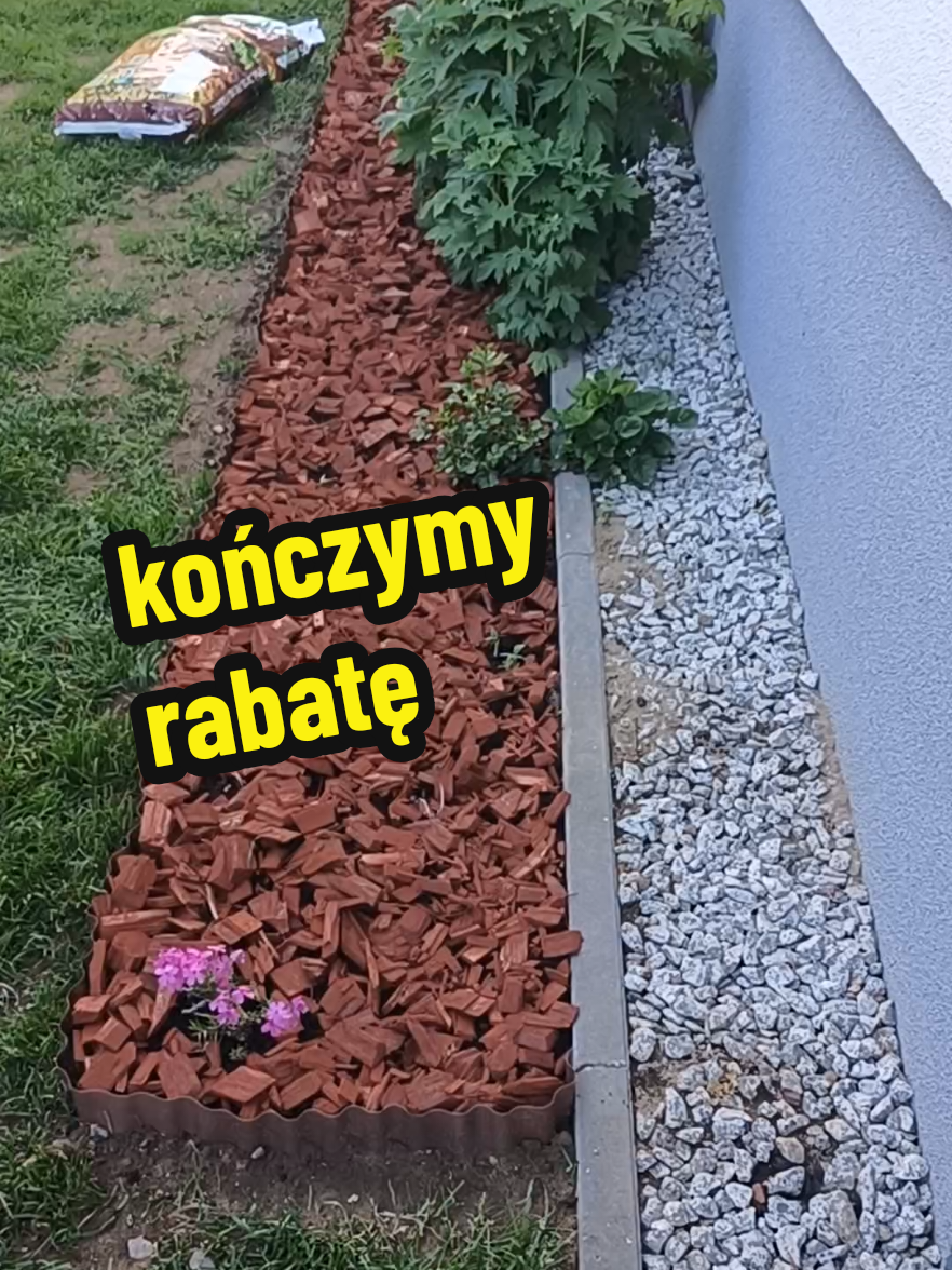 @Marcin ogrodnik