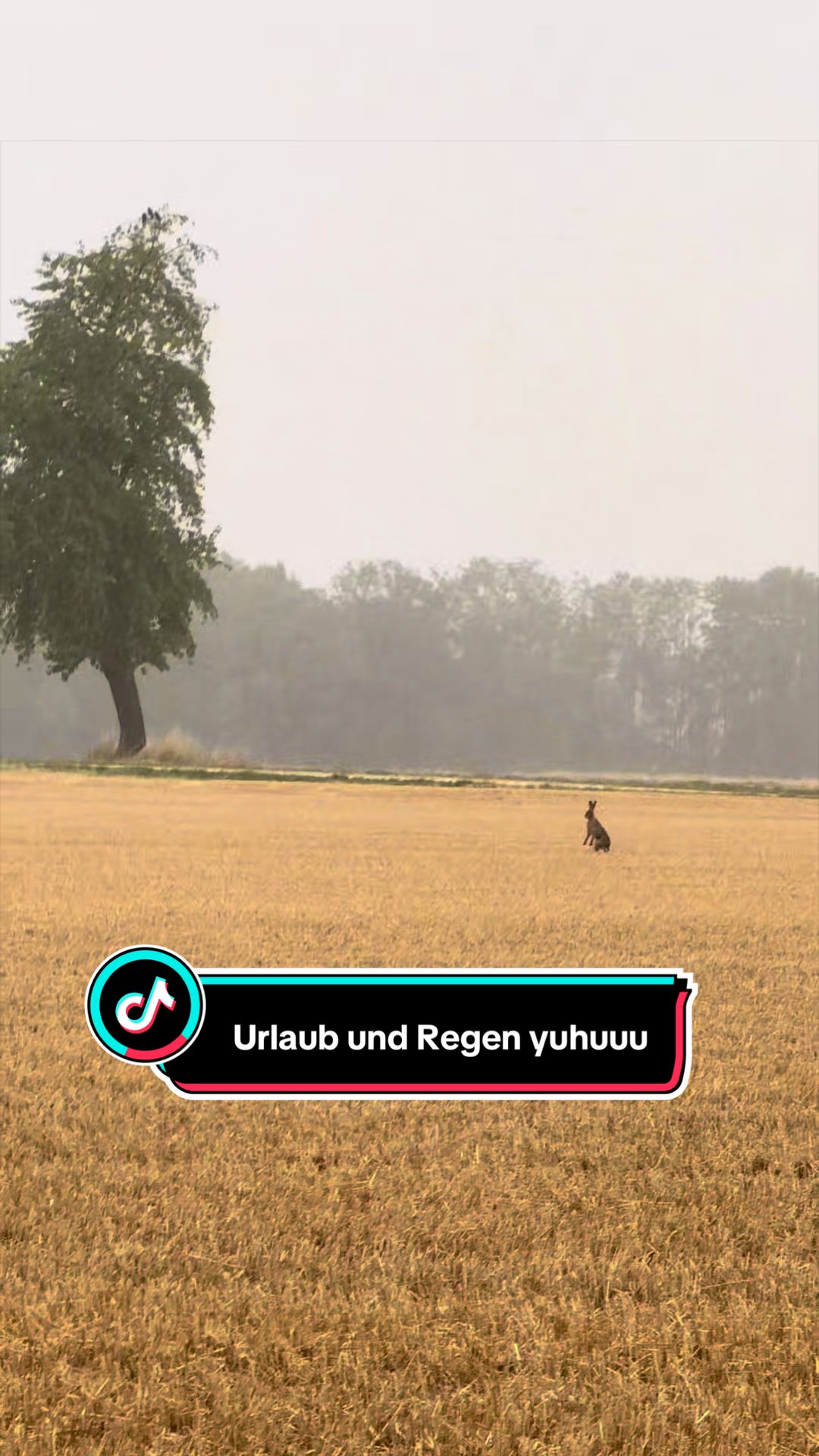 @Friederike