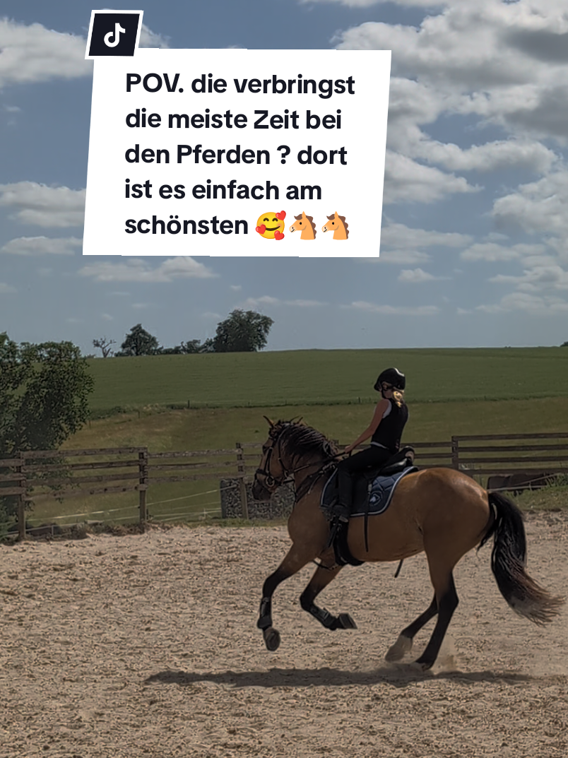 @Caro_Sofie_Offenstallliebe