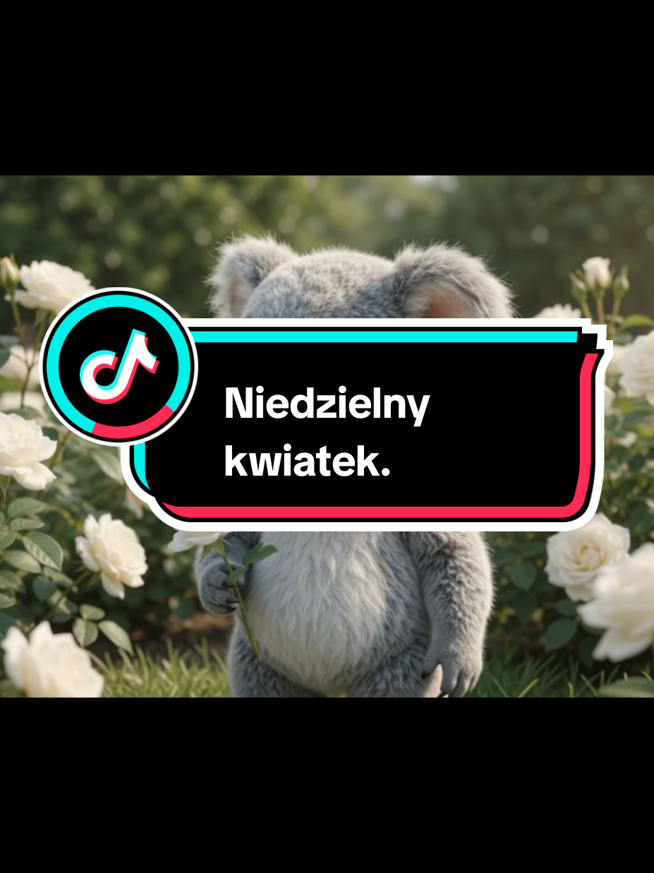 @Wesolutki Karolek 🐨