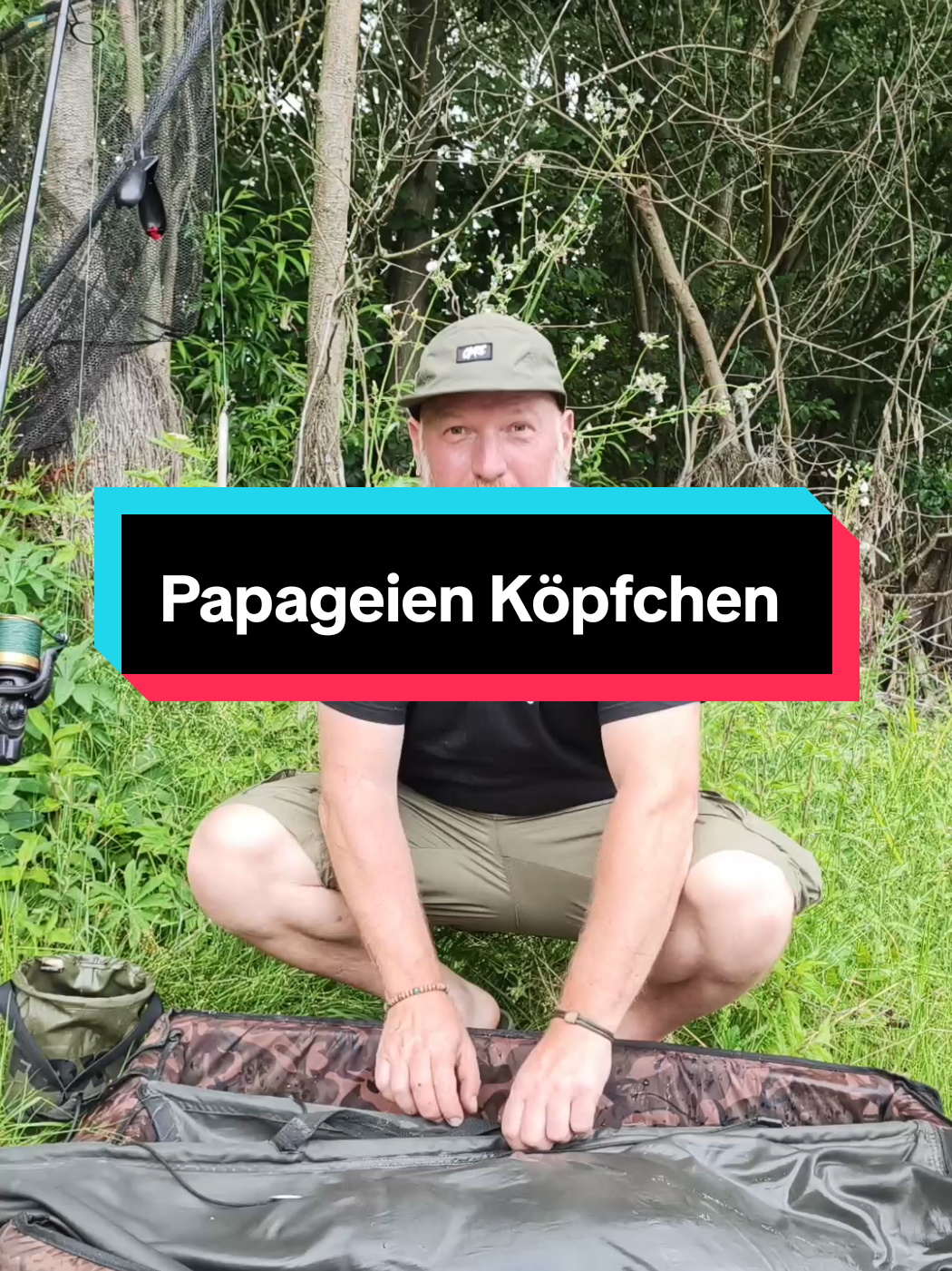 @carp_and_fun