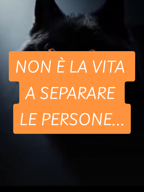 @ALESSANDRO_IL_ROMANO