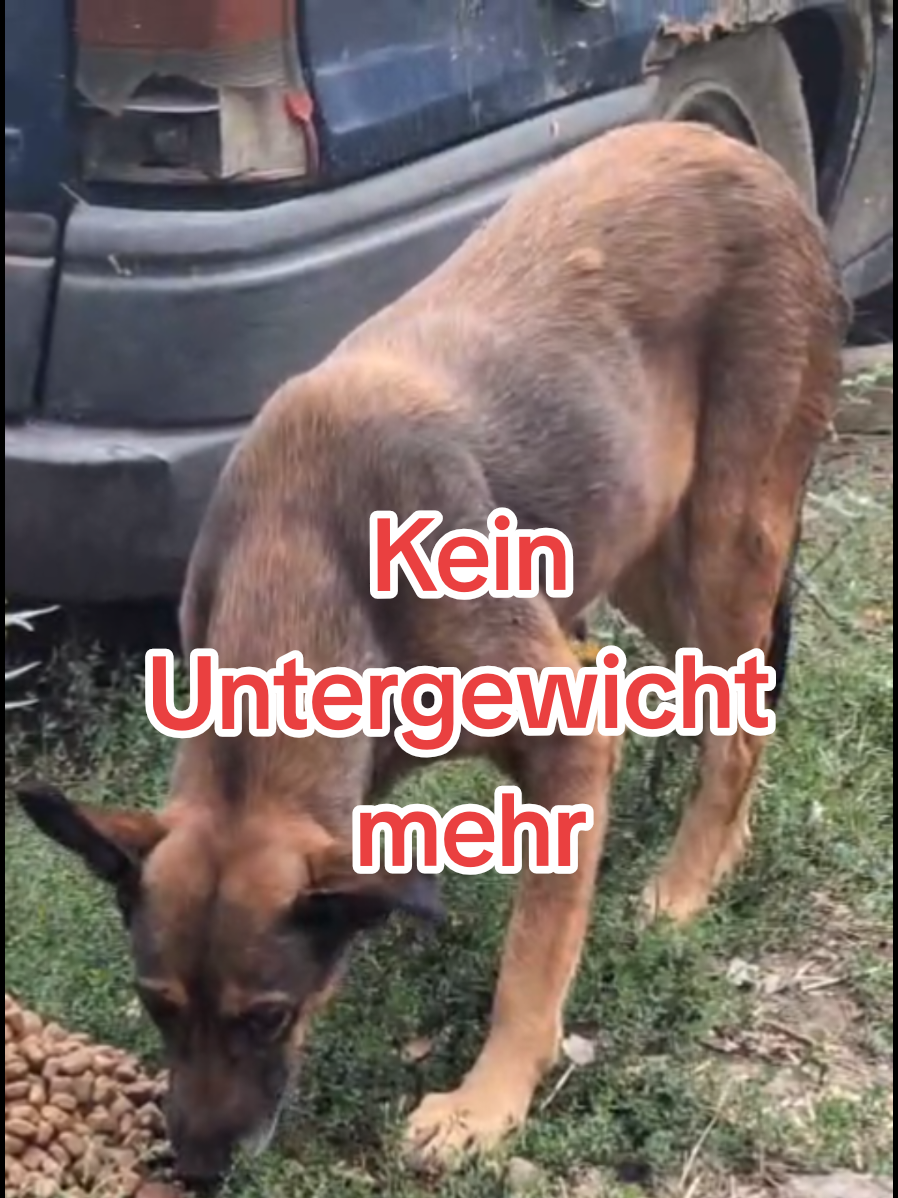@ShelterBande