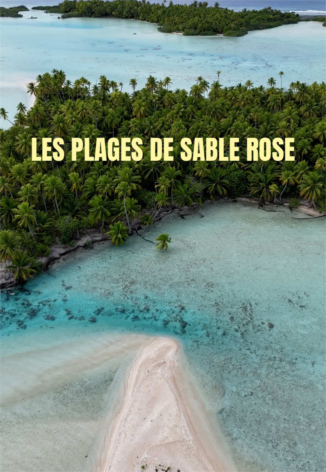 @sans Jess’tination ✈️