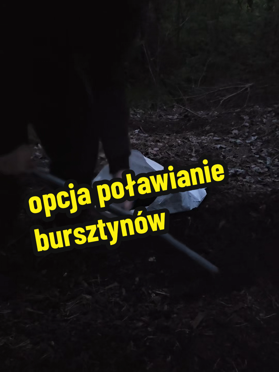 @Warszewski