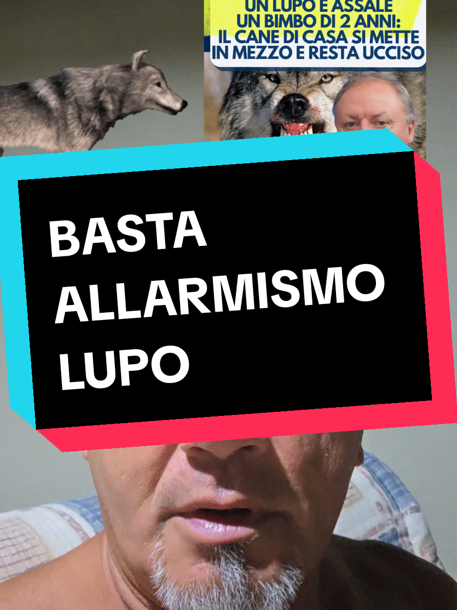 @Cristian Carbognani