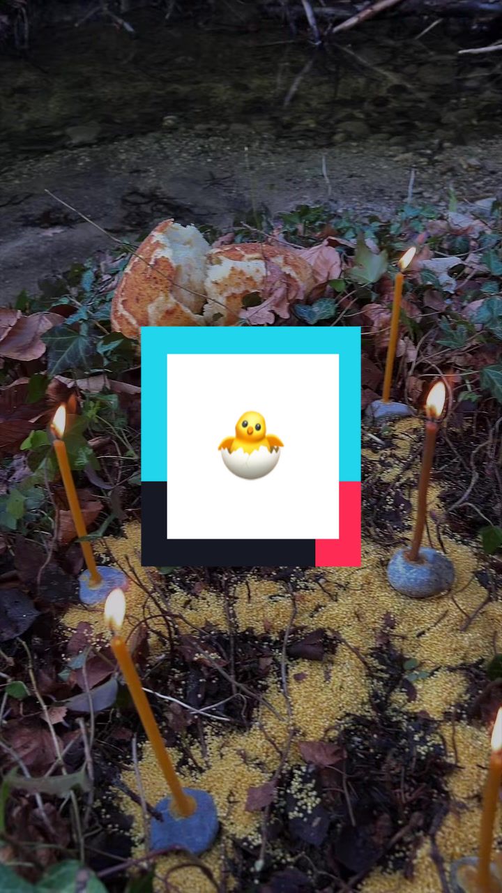 @Paul_Wizdom
