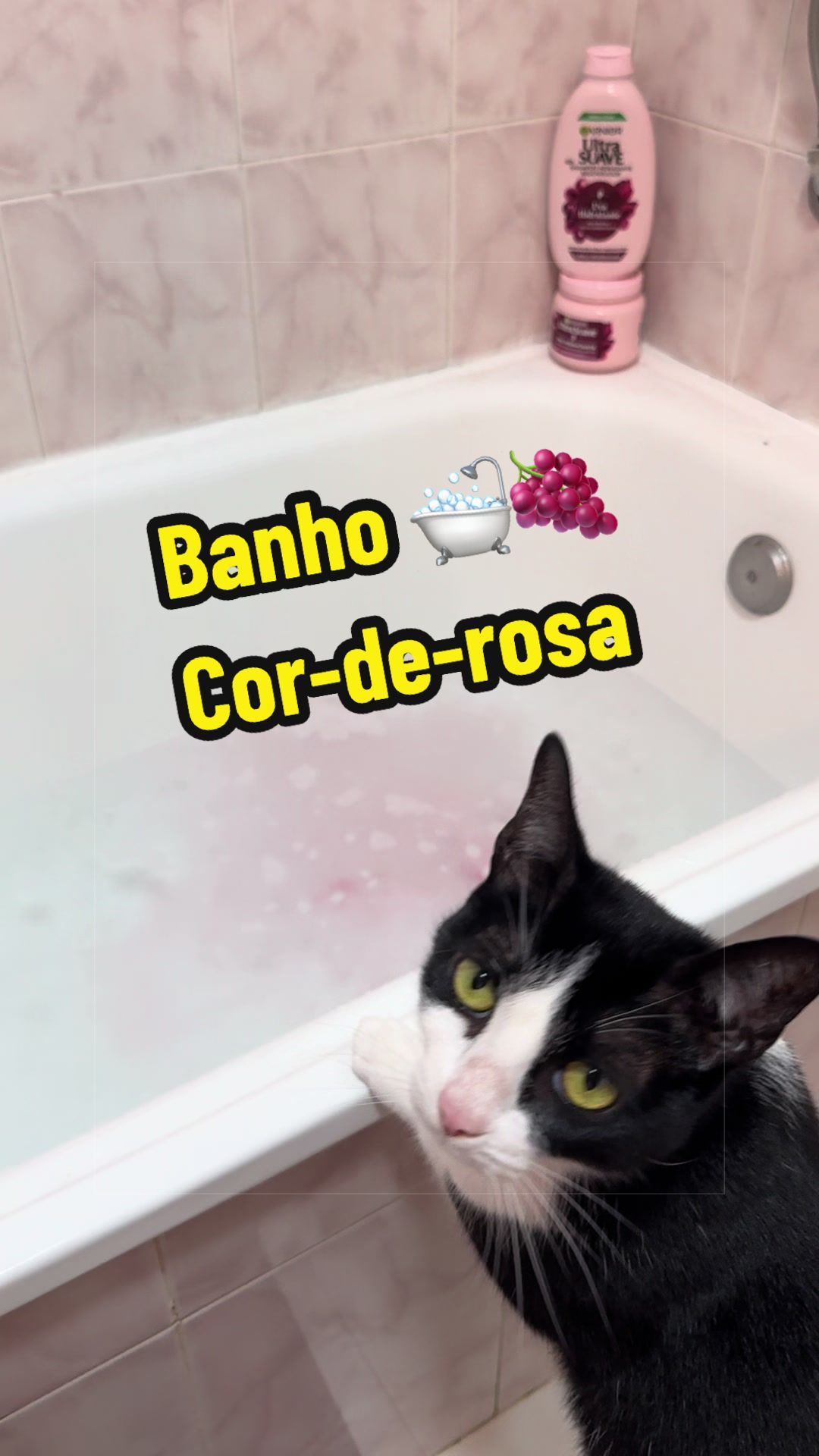 @Aventuras da Danny