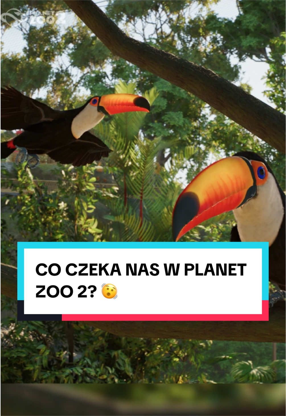 @pandawojtekyt