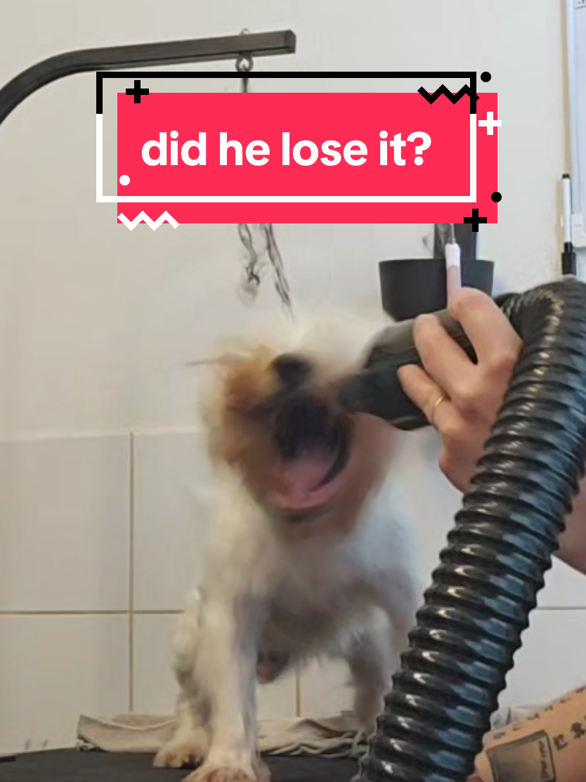 @lisa v