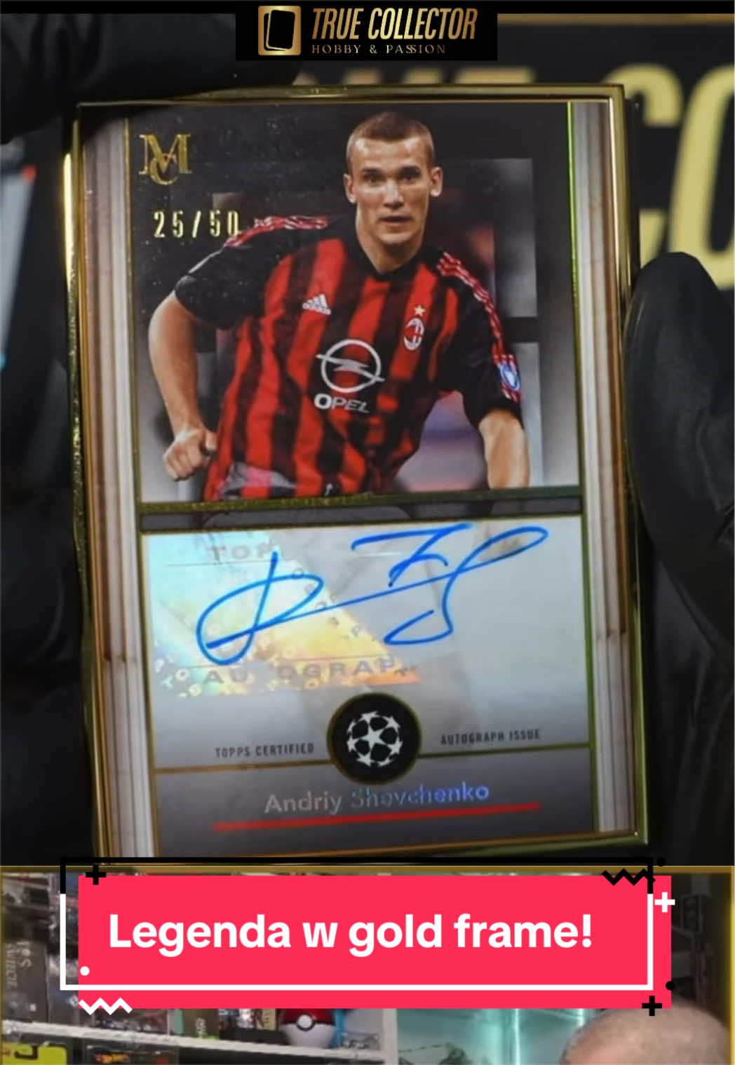 @True Collector Shoty