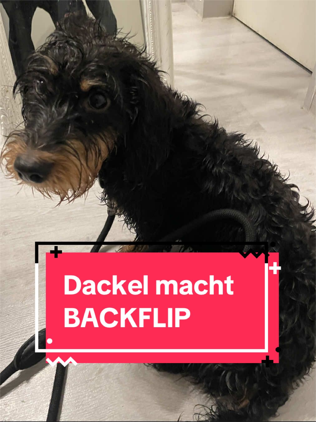 @moin_marcel