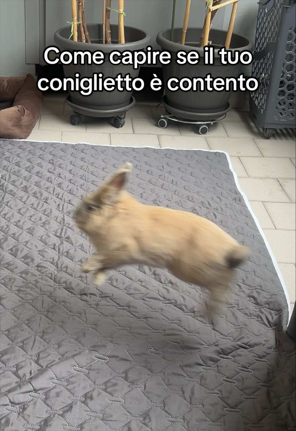 @Gloria Lissoni
