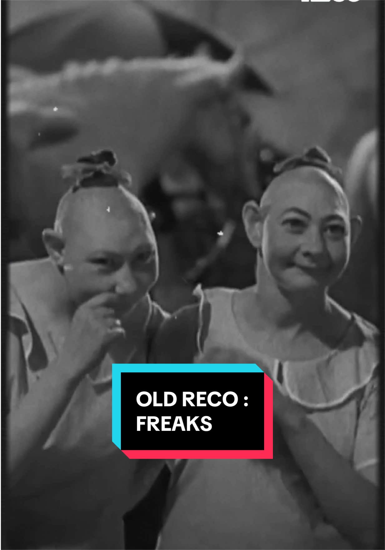 @Julia Reporter 🎞️