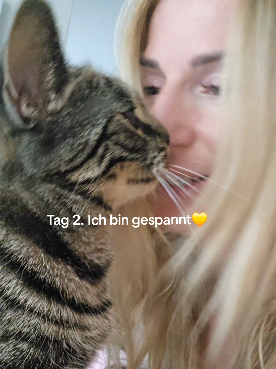 @Kristina