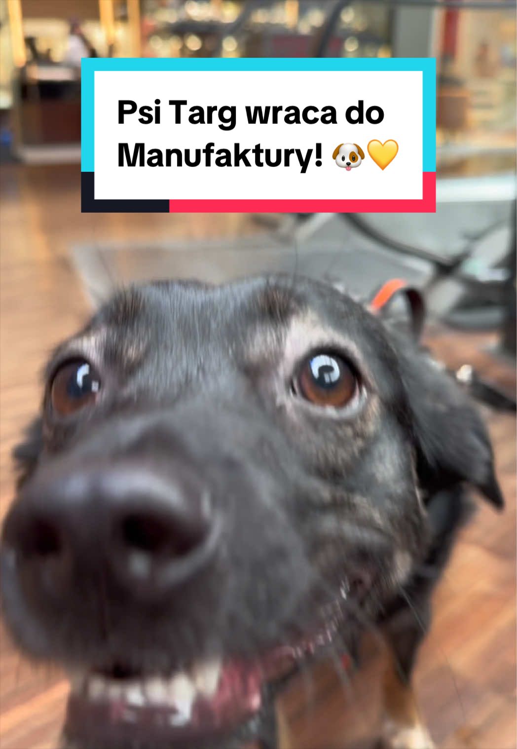 @Manufaktura, Ł&oacute;dź
