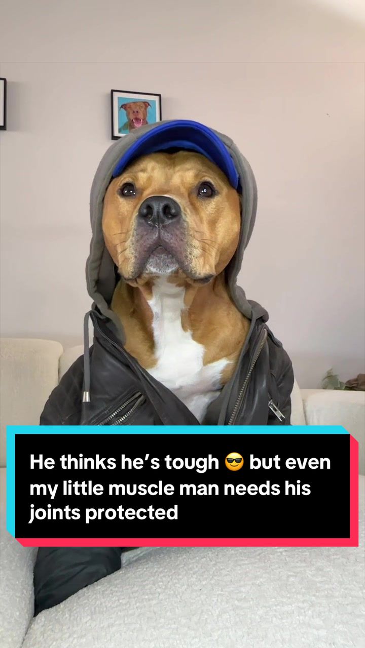@Kaja & Macho 🥰