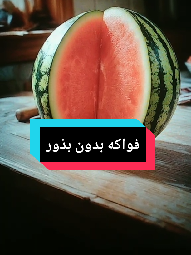 @Free Minds | العقول المتحررة💡