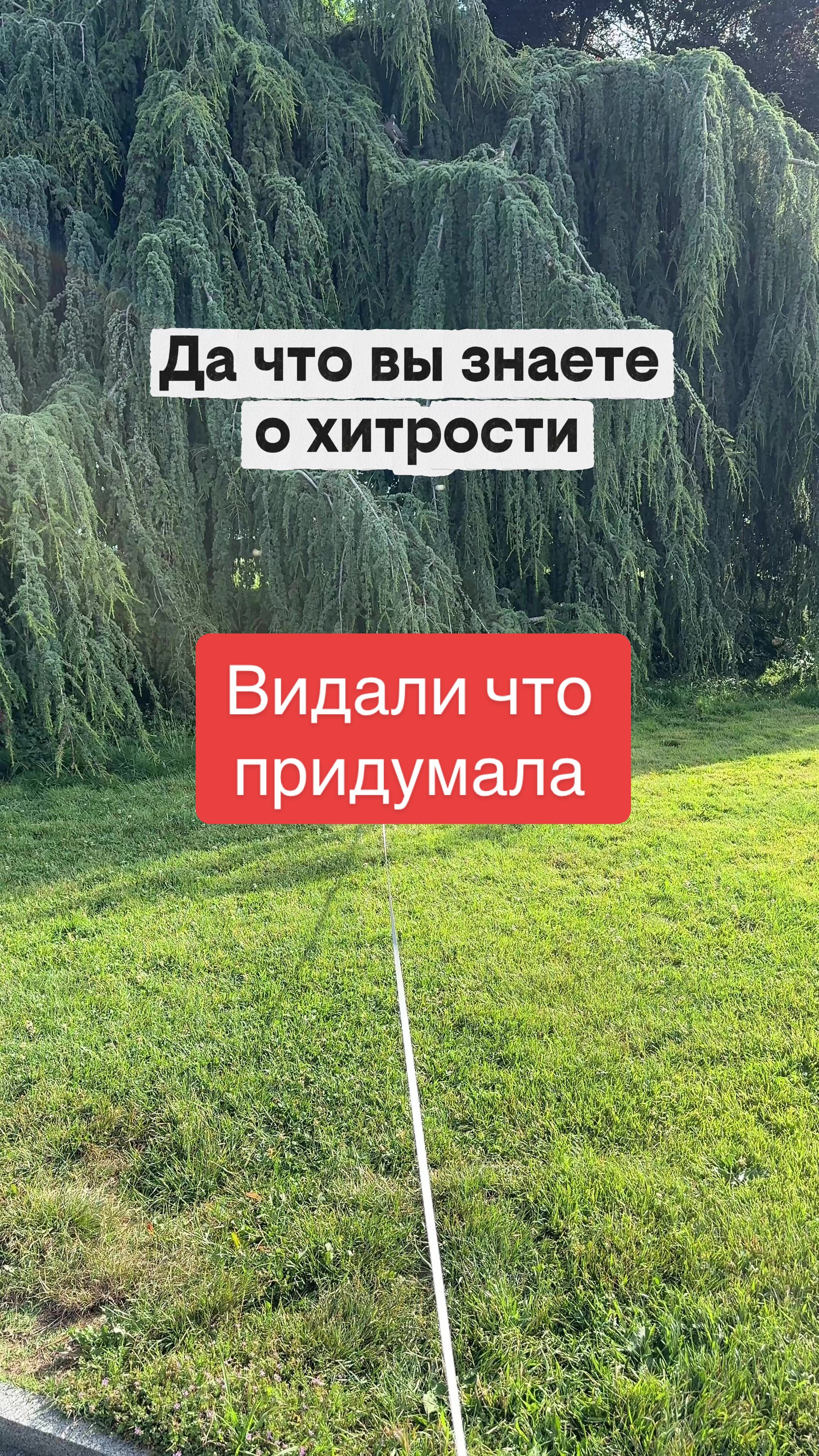 @Диана в Шерсти💜