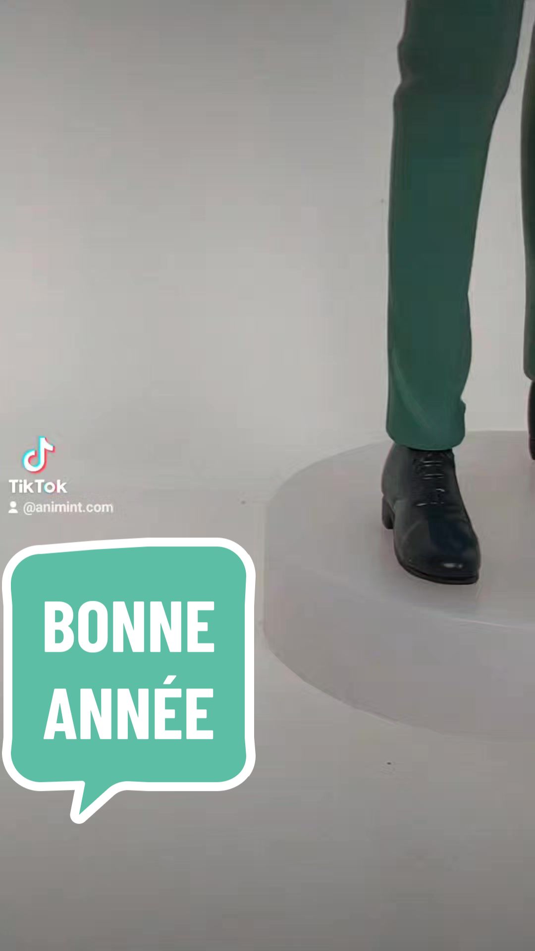 @Animint