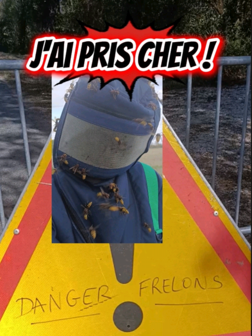 @Médoc Guêpes Frelons Services