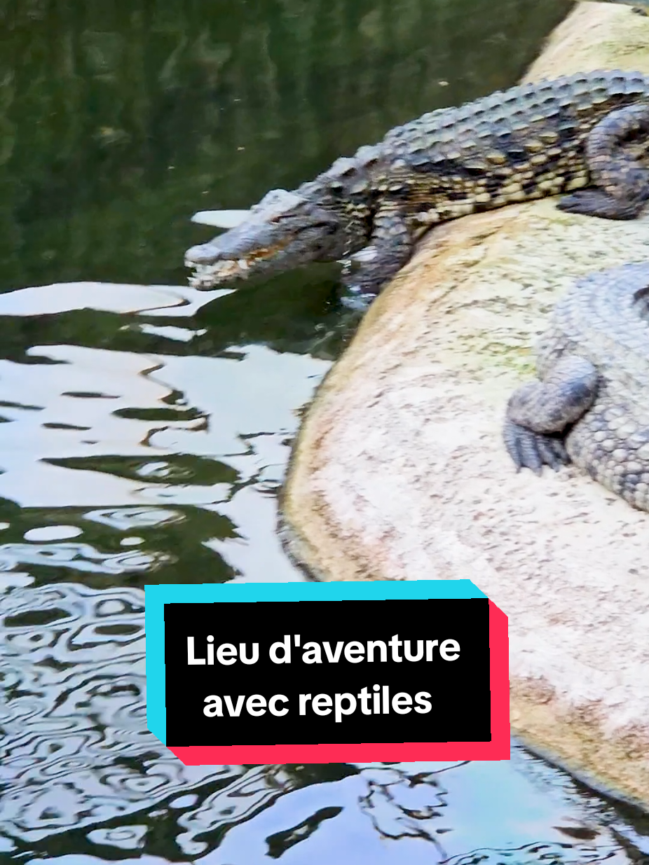 @Le Lutécien