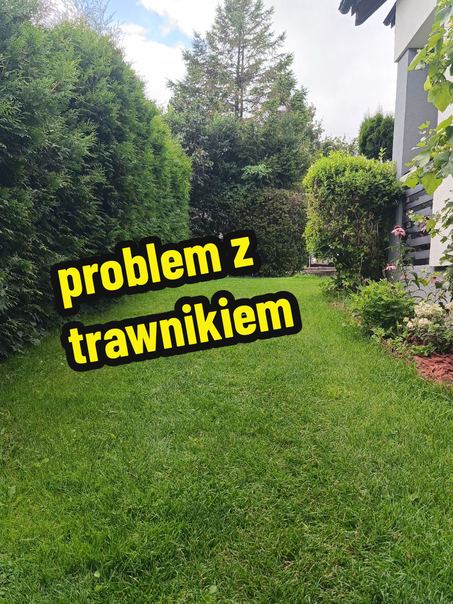 @Marcin ogrodnik