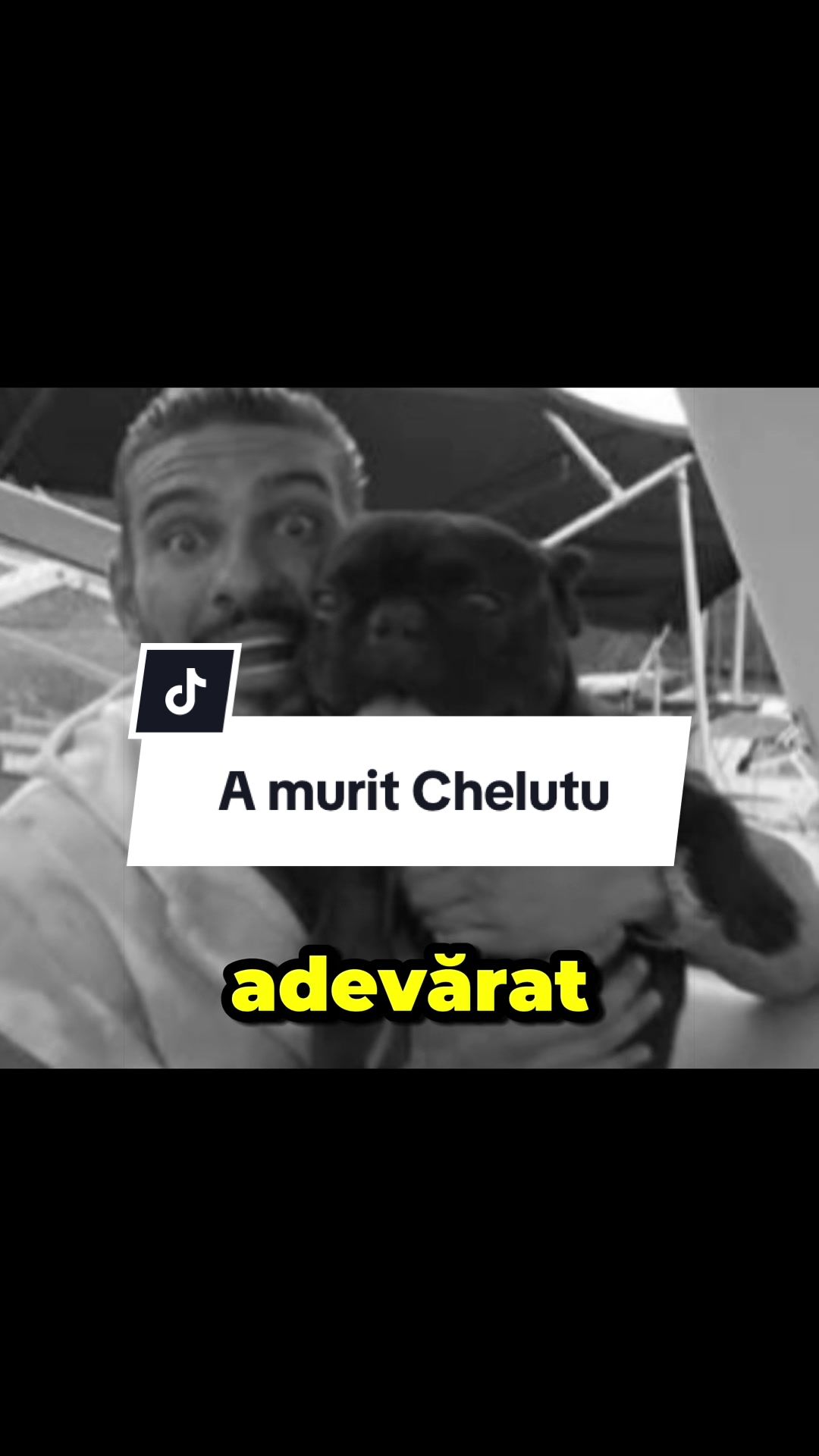 @CostiCuriosul