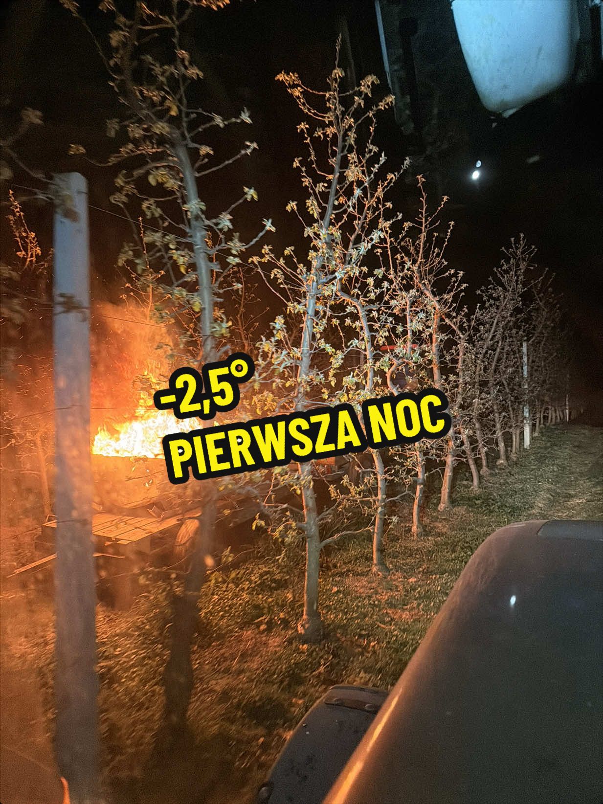 @Sady Puczyński