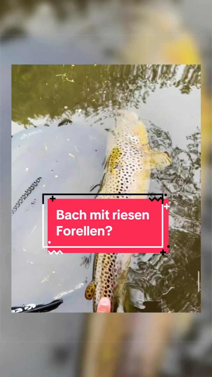@Gian Fishing