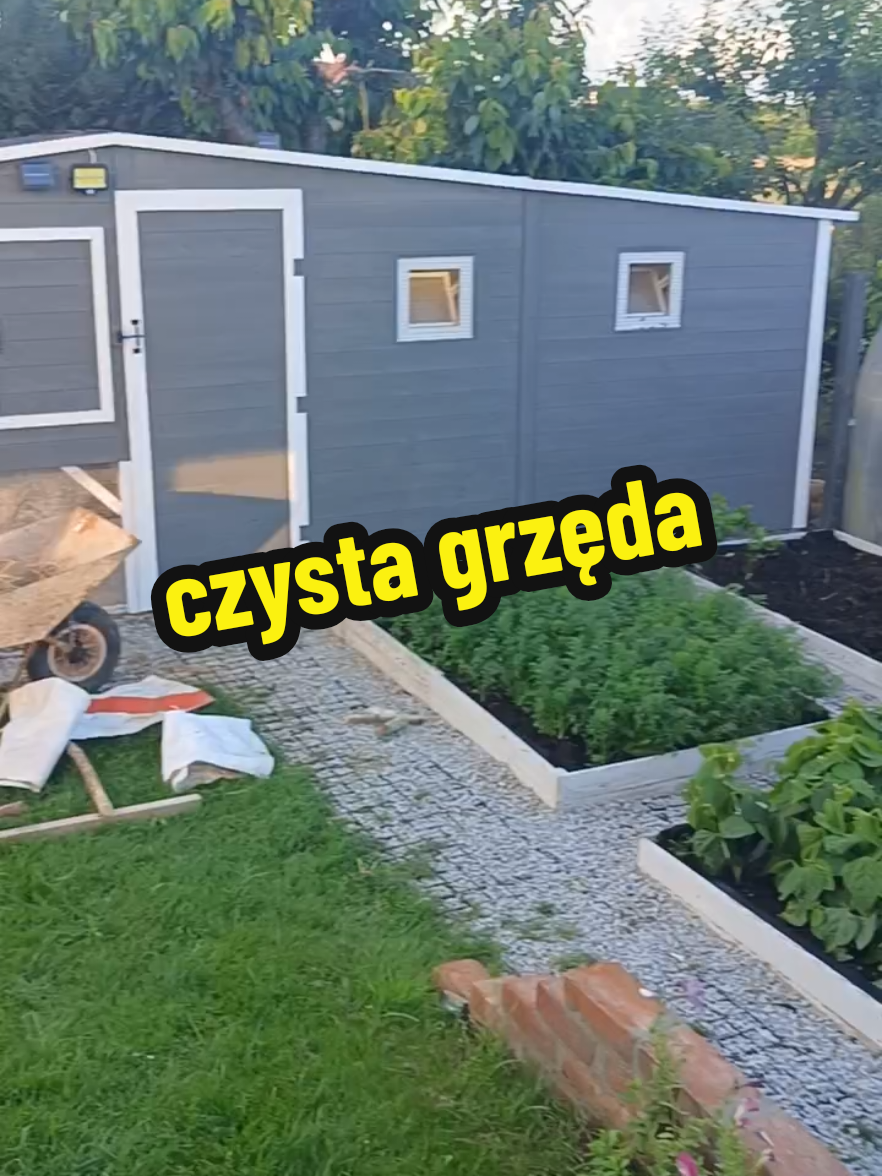 @Marcin ogrodnik