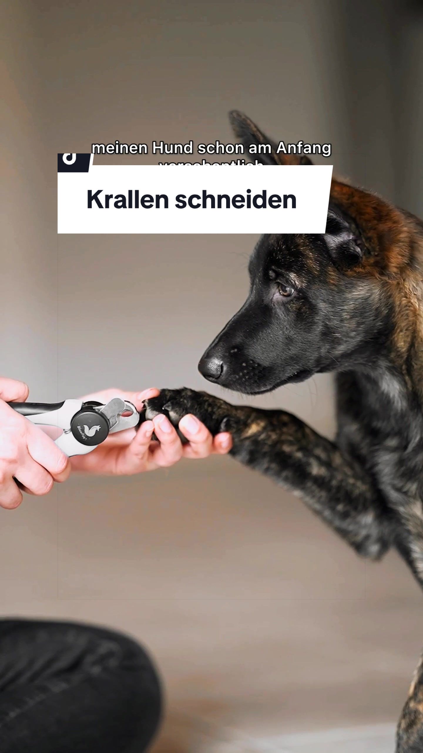 @Kathi