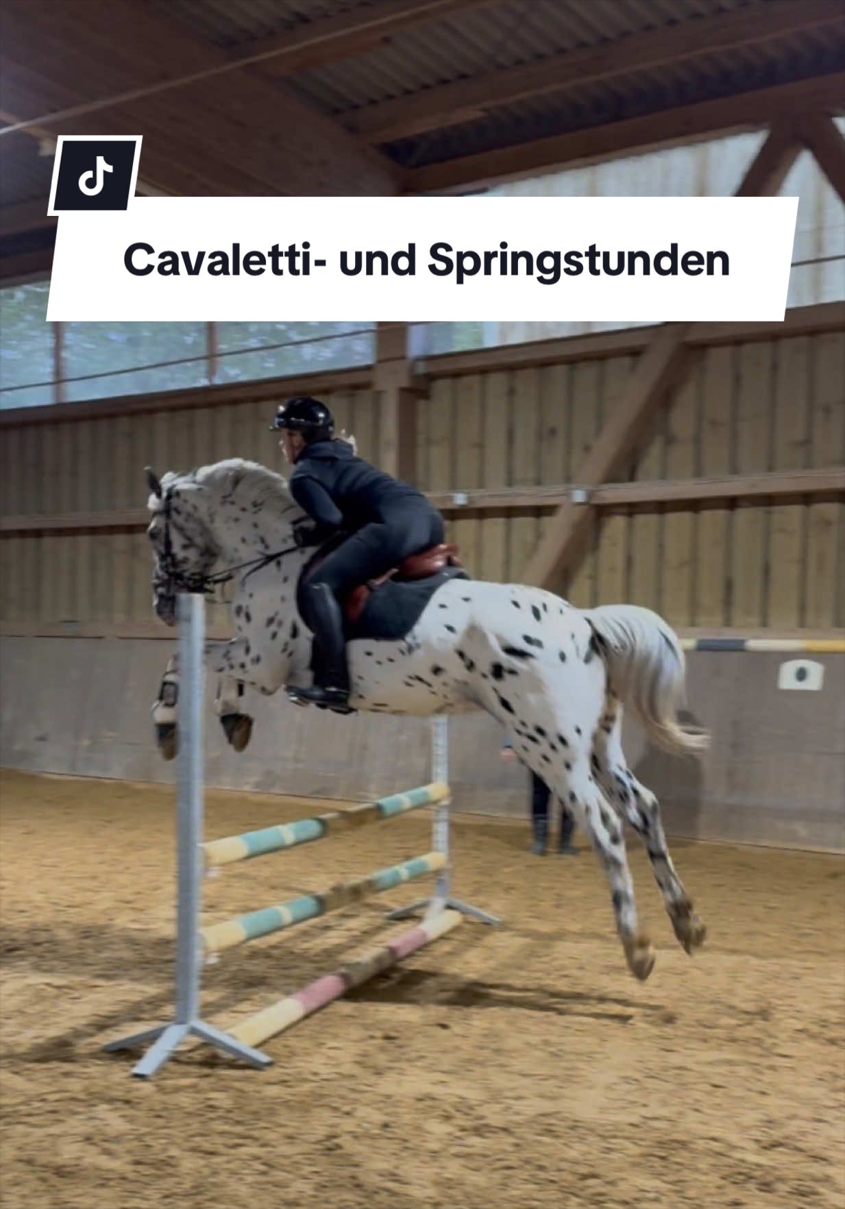 @Sophia &bull; SL Reitschule