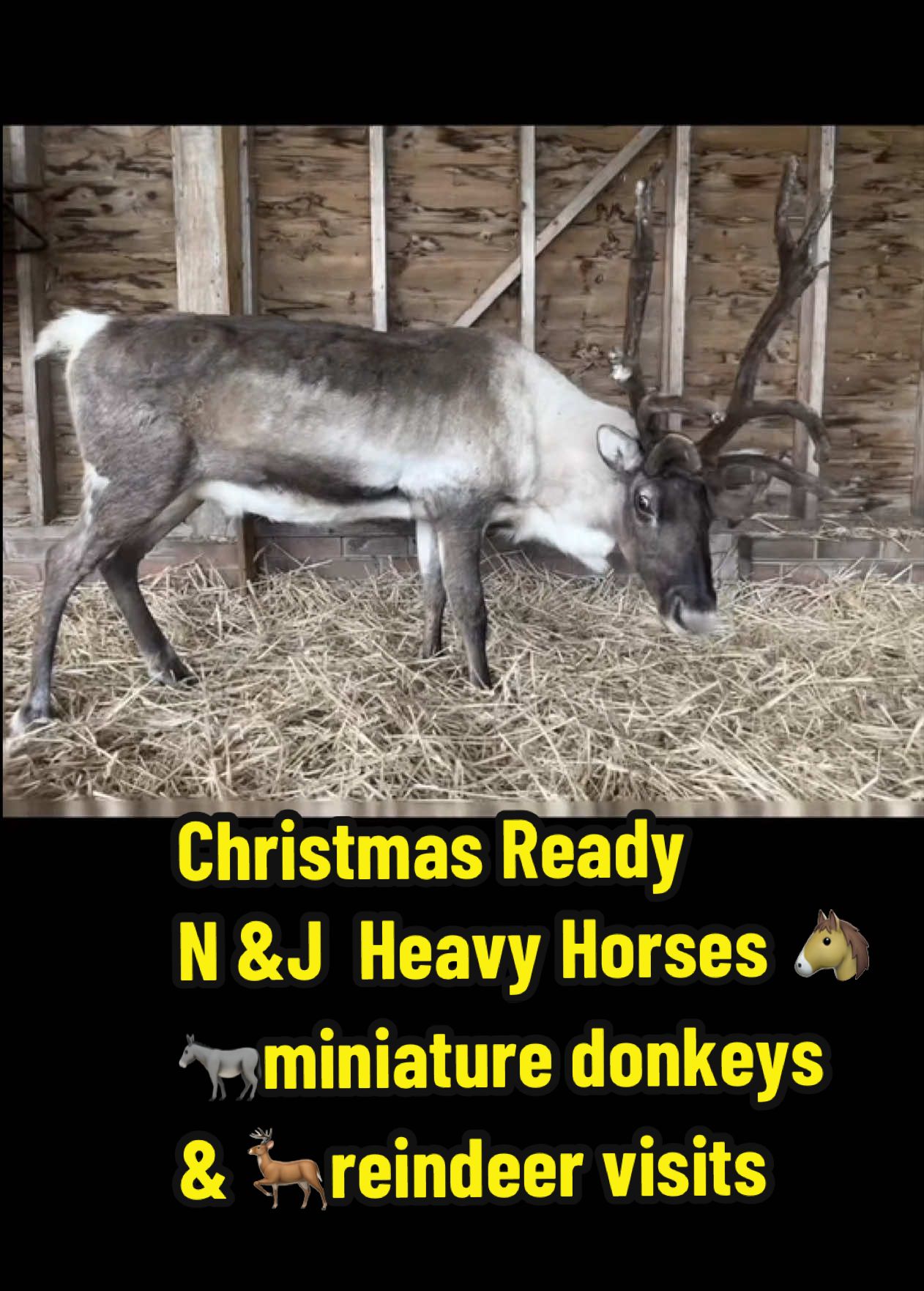 @Becky Evans444
