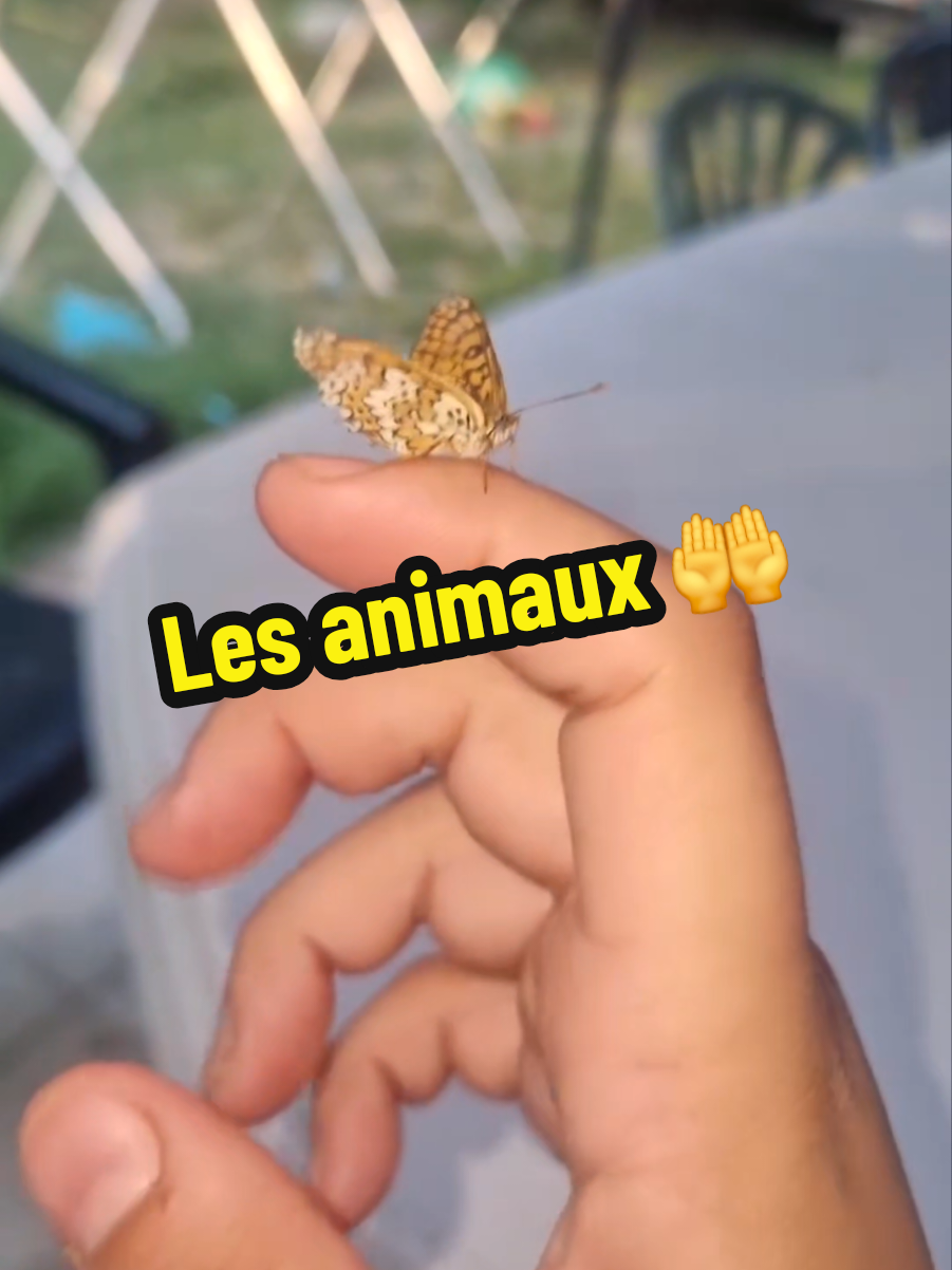 @Locgds 🌺🌼🍓