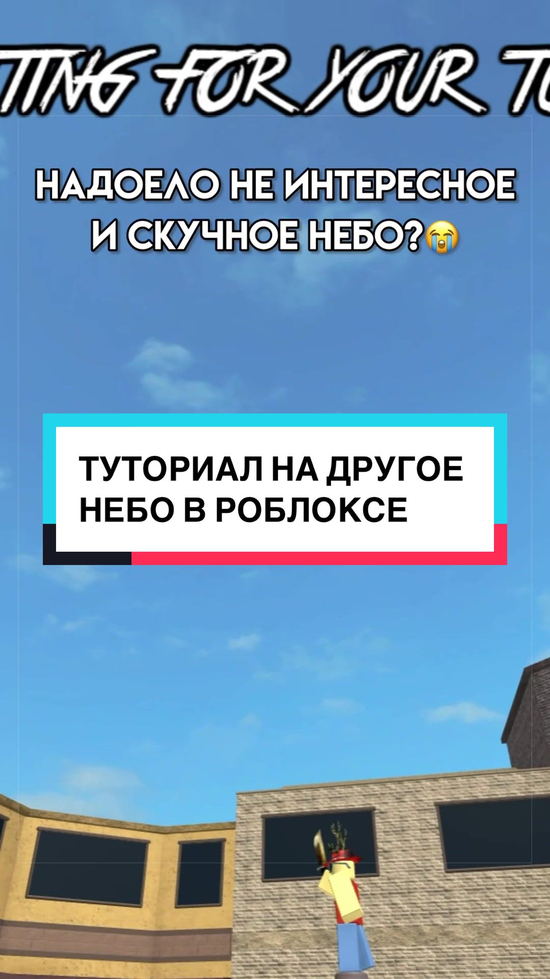 @котя 🐈⬛