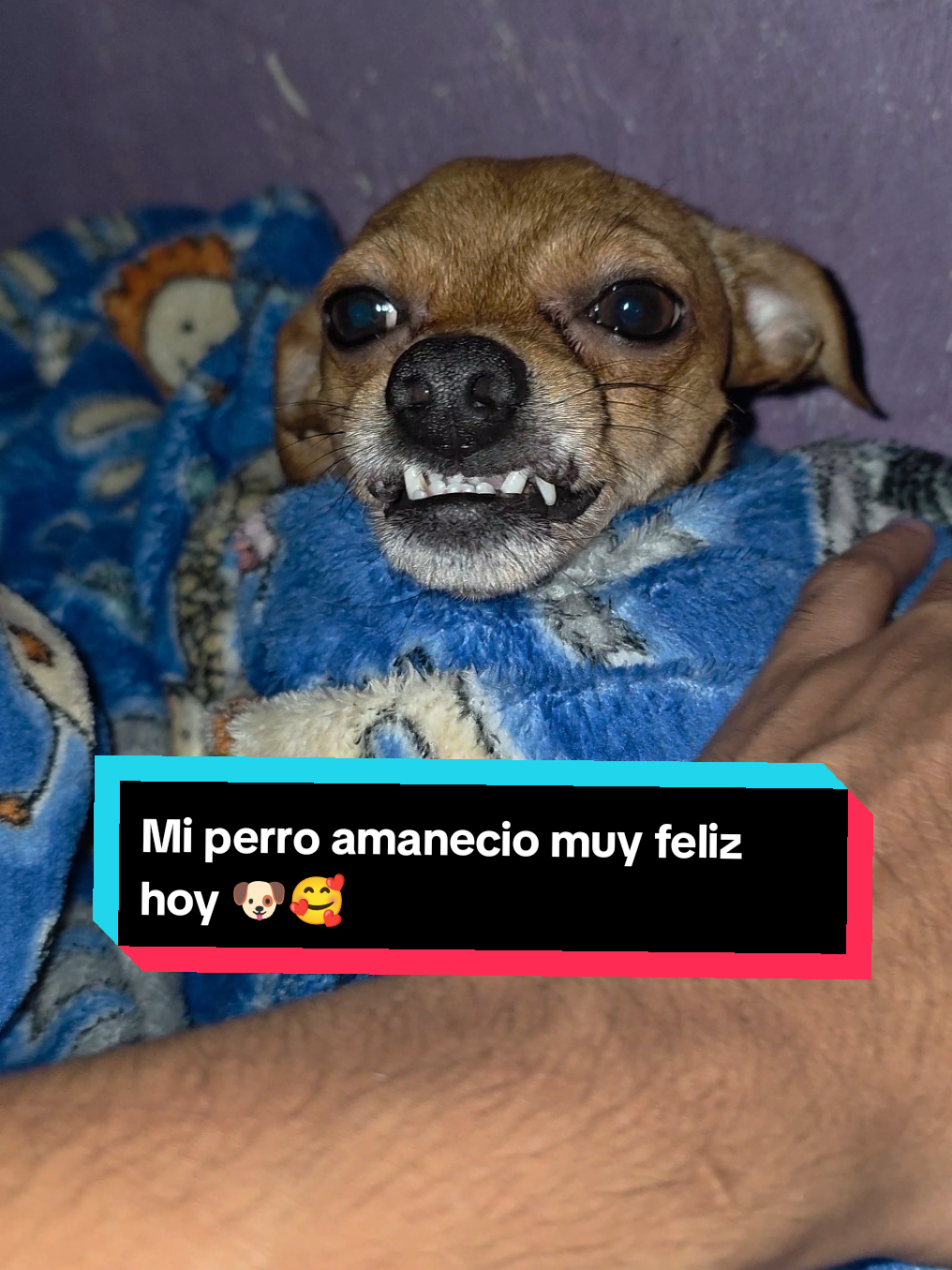 @coco el enoj&oacute;n 🐶 ❤️