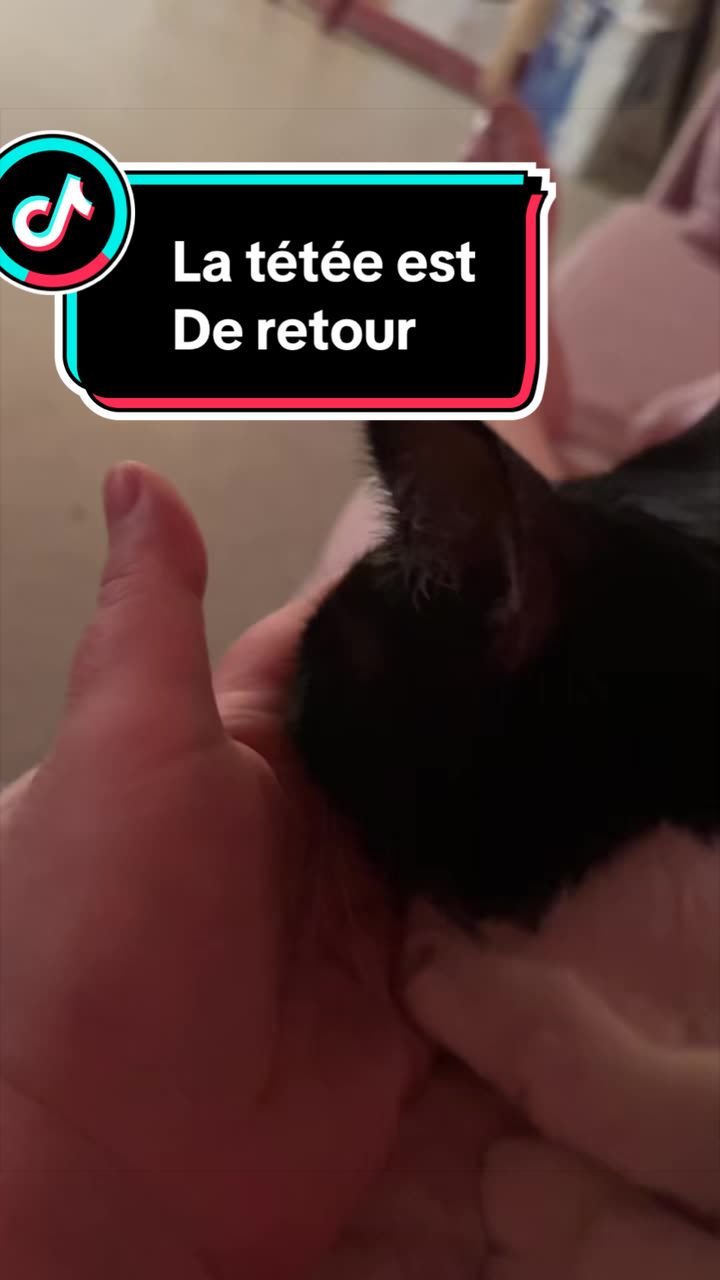 @Eloise/kpop: ces bienfaits 💜