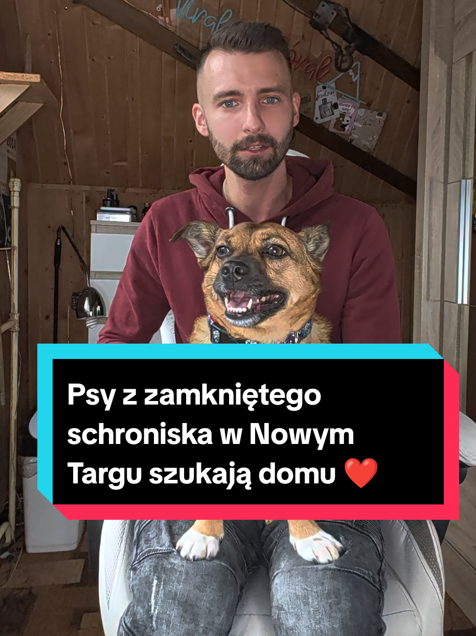 @Viralowygóral🌟