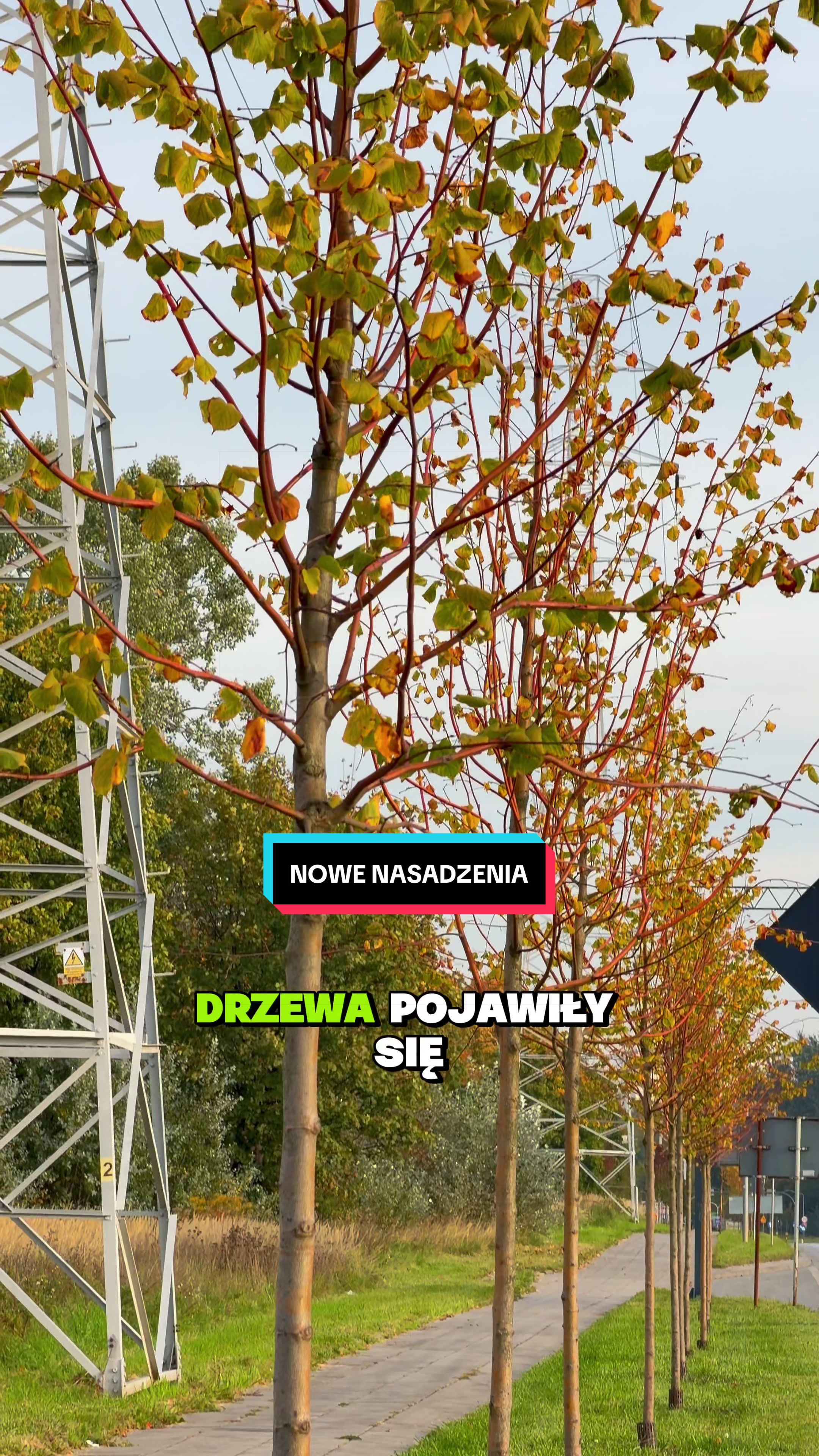 @Ł&oacute;dź 🦄