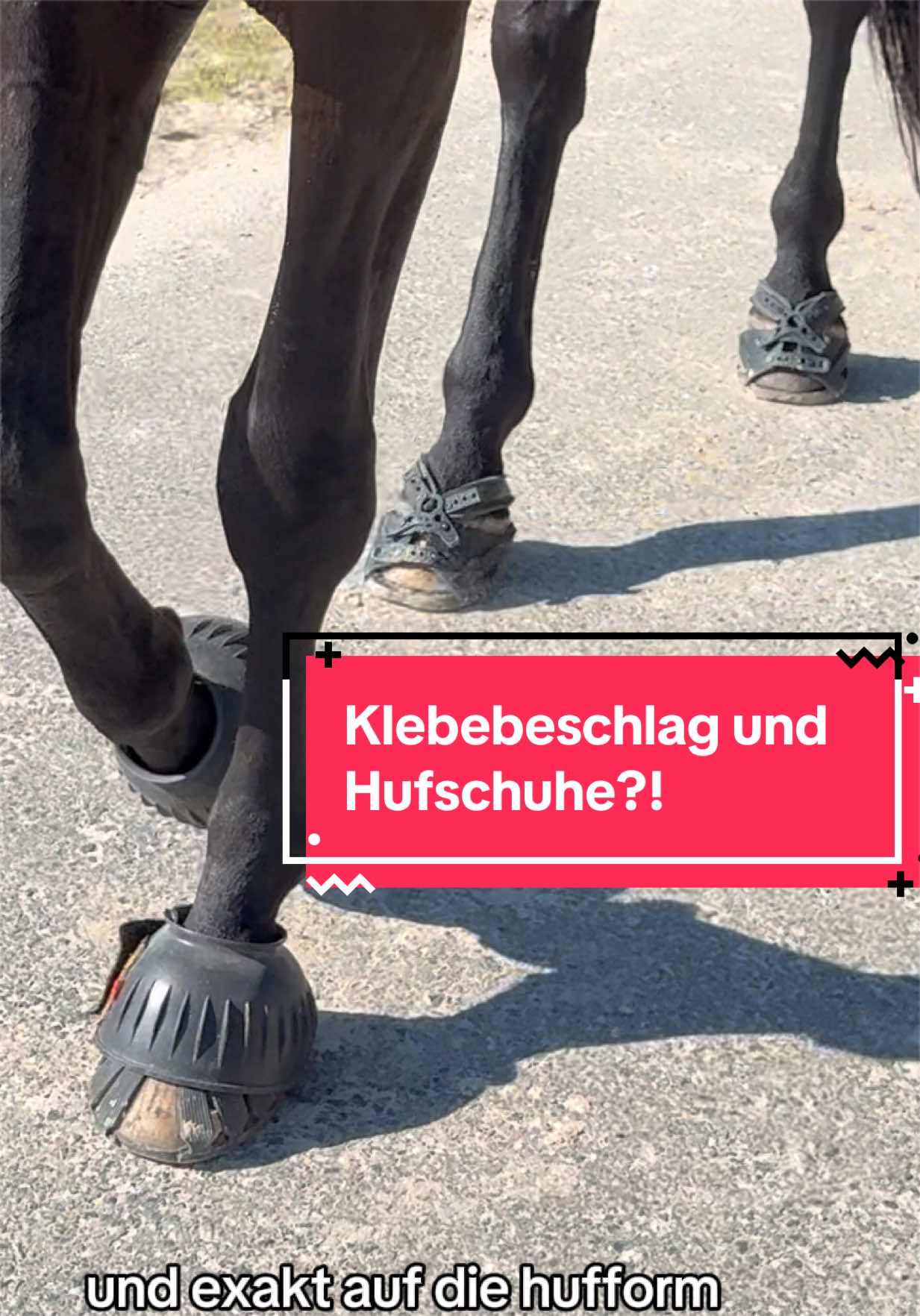 @fuerst_albert